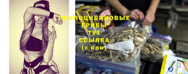 твердый Горняк