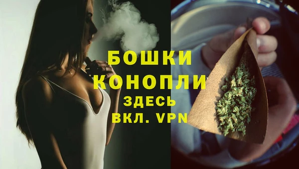 твердый Горняк