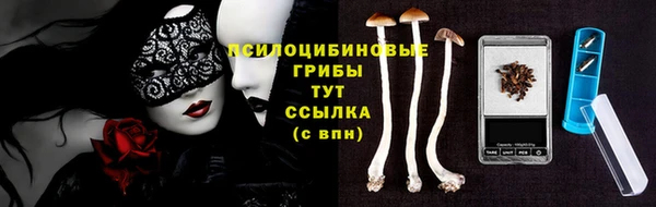 твердый Гусь-Хрустальный