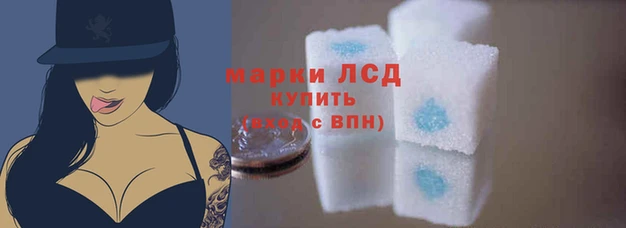 твердый Горняк