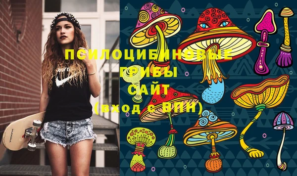 Альфа ПВП Гусев