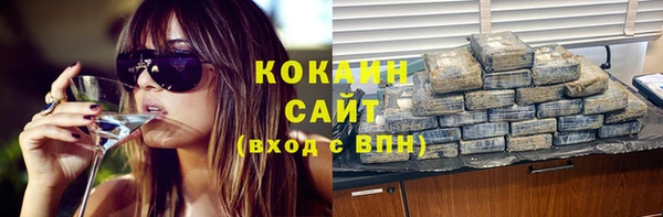 твердый Гусь-Хрустальный