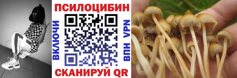 OMG зеркало  хочу   Емва  Псилоцибиновые грибы Psilocybine cubensis 